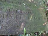 image of grave number 325046