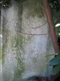image of grave number 325049