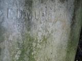 image of grave number 325049