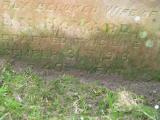 image of grave number 424699