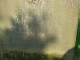 image of grave number 424702