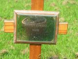 image of grave number 424716