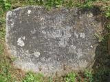 image of grave number 270502
