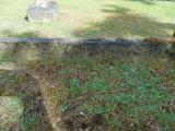 image of grave number 512390