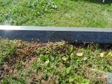 image of grave number 512501