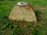 image of grave number 512719