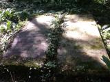 Smallcombe Garden