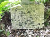 Smallcombe Garden