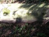 Smallcombe Garden