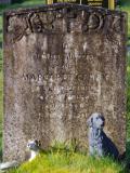 image of grave number 916572