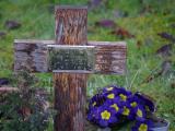 image of grave number 916499