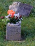 image of grave number 916473