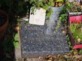 image of grave number 793064