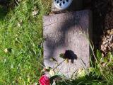 St Peter (cremations part 1)