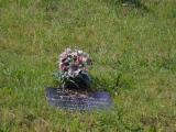 image of grave number 834190