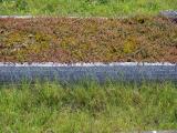 image of grave number 834195