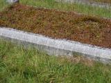 image of grave number 834195