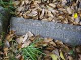 image of grave number 834217
