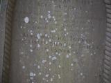 image of grave number 834232