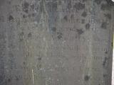 image of grave number 834241