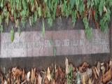 image of grave number 594904