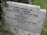 image of grave number 594906