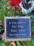 image of grave number 960253