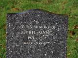 image of grave number 960314