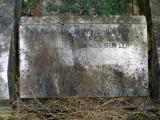 James Bridge (disused) Municipal