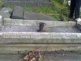 James Bridge (disused) Municipal