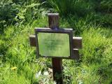 St Mary the Virgin (new graves)