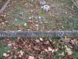 image of grave number 181703