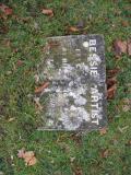 image of grave number 181706