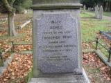 image of grave number 181726