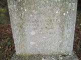 image of grave number 181738