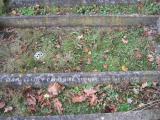 image of grave number 181751