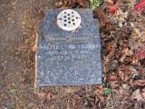 image of grave number 181908