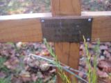 image of grave number 181940