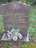 image of grave number 182041
