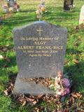 image of grave number 182112