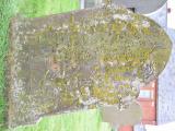 image number DSC_9010