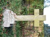 image of grave number 682854