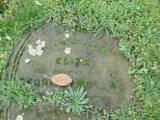 Old Municipal Section E