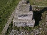 image of grave number 8135