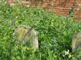 Quaker Burial Ground