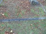 image of grave number 172932