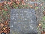 image of grave number 172932