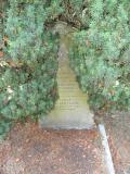 image of grave number 172962