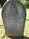 image of grave number 172971