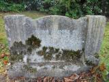 image of grave number 173005